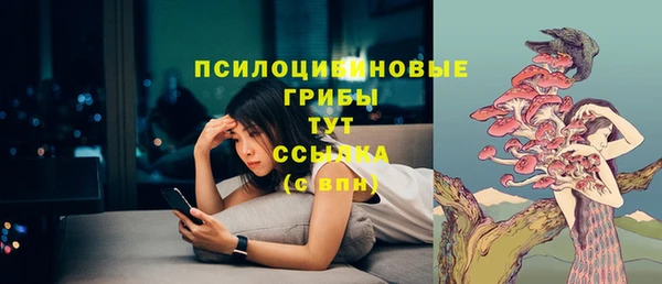 МДПВ Семикаракорск