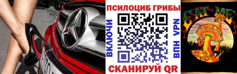 Купить закладки  Игарка  Псилоцибиновые грибы Psilocybe 